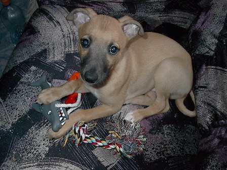 duben 2005 021.jpg