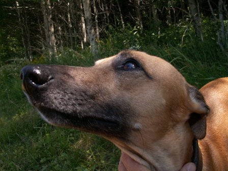 PICT0100.JPG